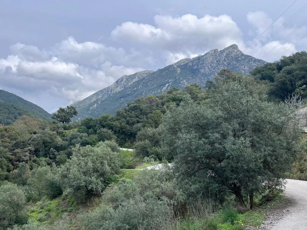 Terreno en venta en Istan, Malaga photo 4