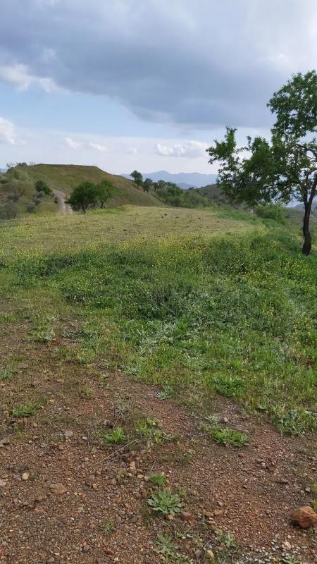 Terreno en venta en Cártama, Malaga photo 2