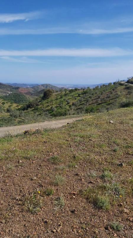 Terreno en venta en Cártama, Malaga photo 4
