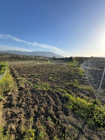 Terreno en Pista Carril de Puerto Rico photo 3