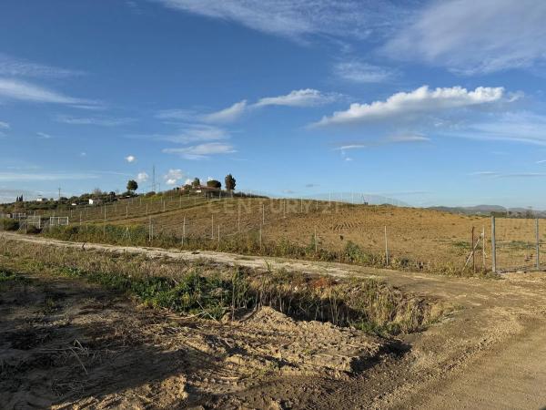 Terreno en Pista Carril de Puerto Rico photo 4