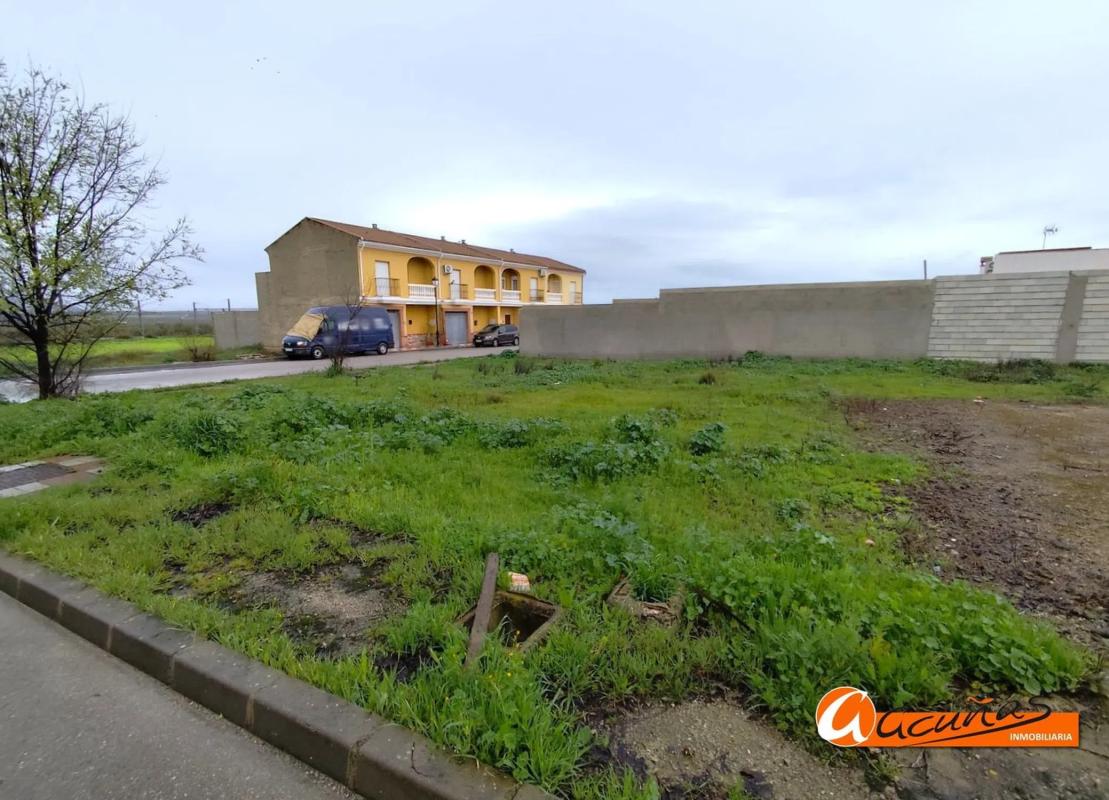 Terreno en venta en Fuente de Piedra, Malaga photo 2