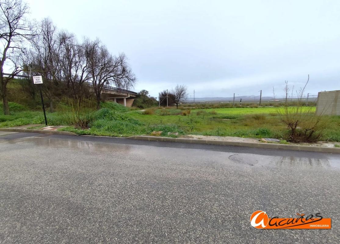 Terreno en venta en Fuente de Piedra, Malaga photo 4