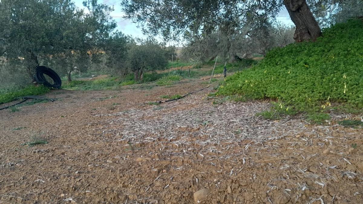Działka na sprzedaż w Alora, Malaga photo 3