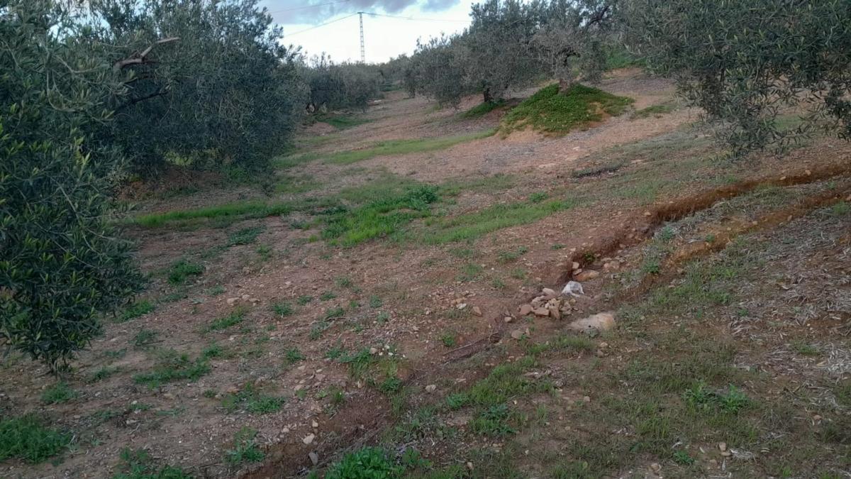 Działka na sprzedaż w Alora, Malaga photo 4