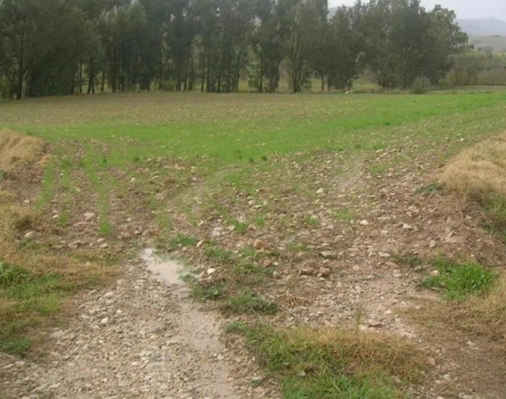 Land for sale in Cañete la Real, Malaga photo 1