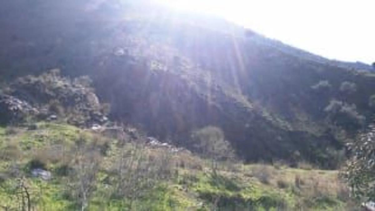 Land for sale in Casabermeja, Malaga photo 3