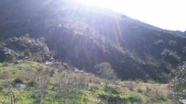 Terreno en Ma-3101 thumbnail 2