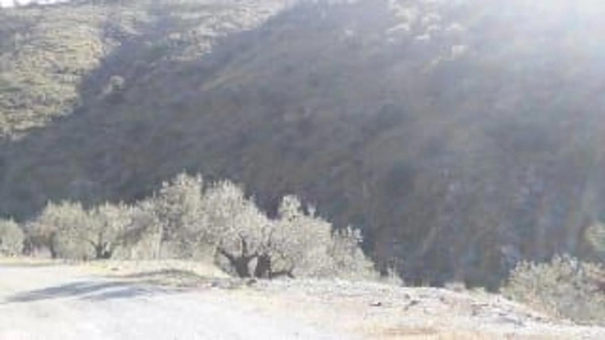 Land for sale in Casabermeja, Malaga photo 5