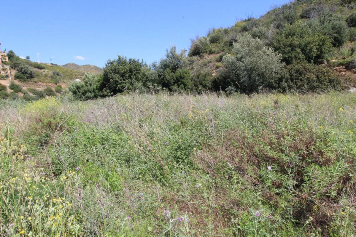 Terreno en venta en Marbella, Malaga photo 5