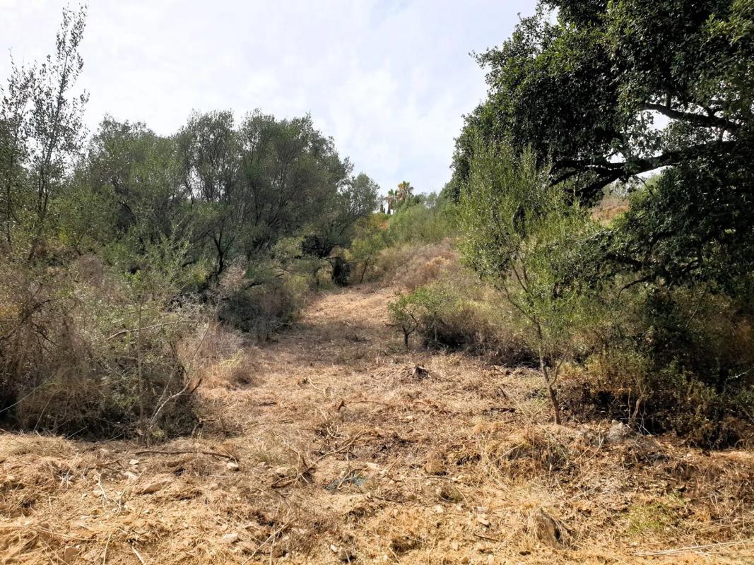 Terreno en venta en Marbella, Malaga photo 1