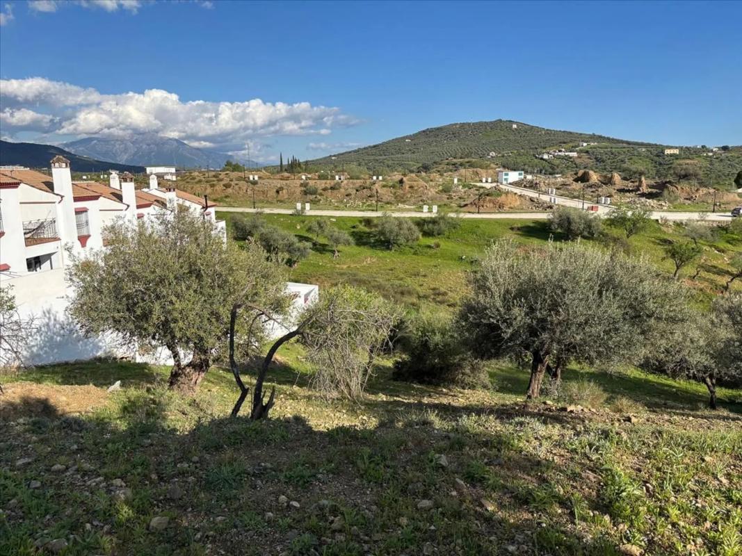 Terreno en venta en Riogordo, Malaga photo 5