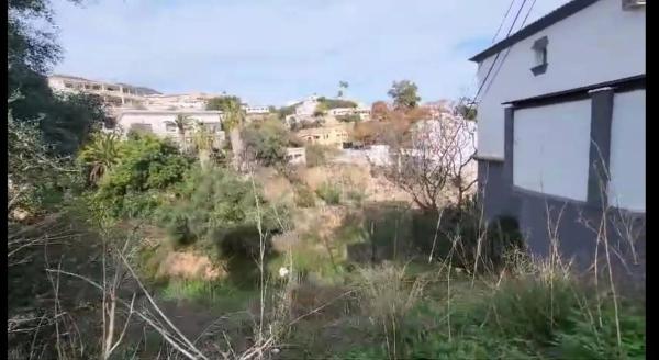 Terreno en calle los Madroños photo 3