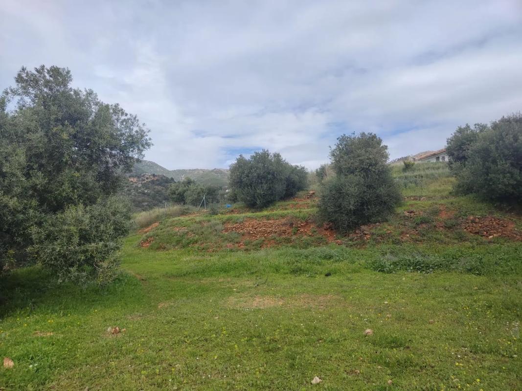 Terreno en venta en Mijas, Malaga photo 1