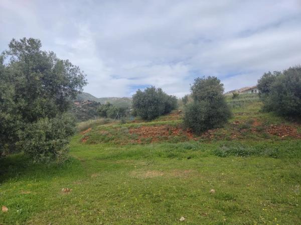 Terreno en calle Araucaria photo 1