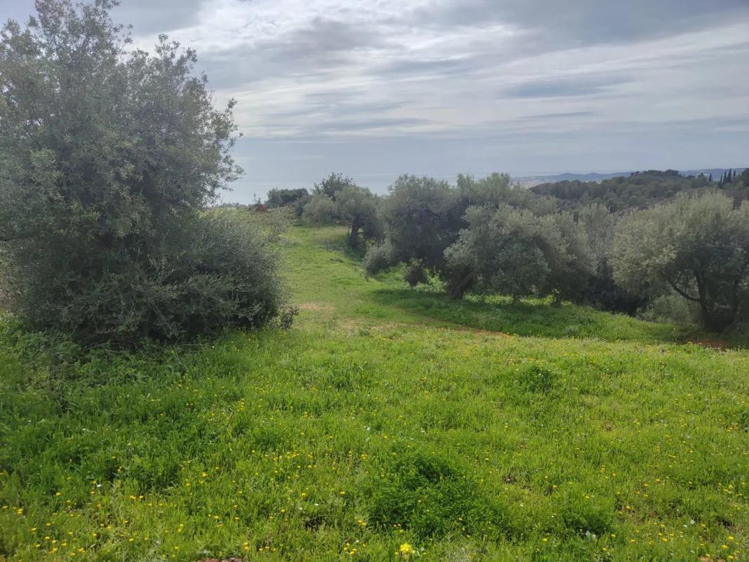 Terreno en venta en Mijas, Malaga photo 3