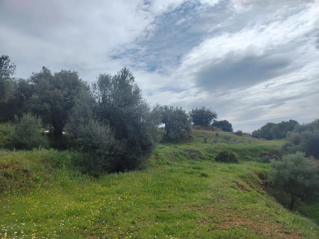 Terreno en venta en Mijas, Malaga photo 4