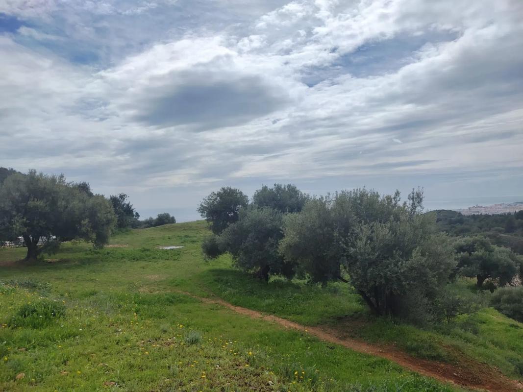 Terreno en venta en Mijas, Malaga photo 5