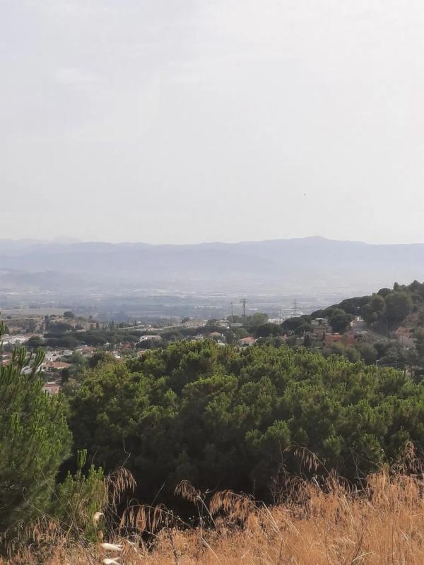 Land for sale in Alhaurín de la Torre, Malaga photo 2
