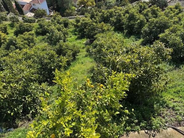 Terreno en avenida de Canillas thumbnail 2