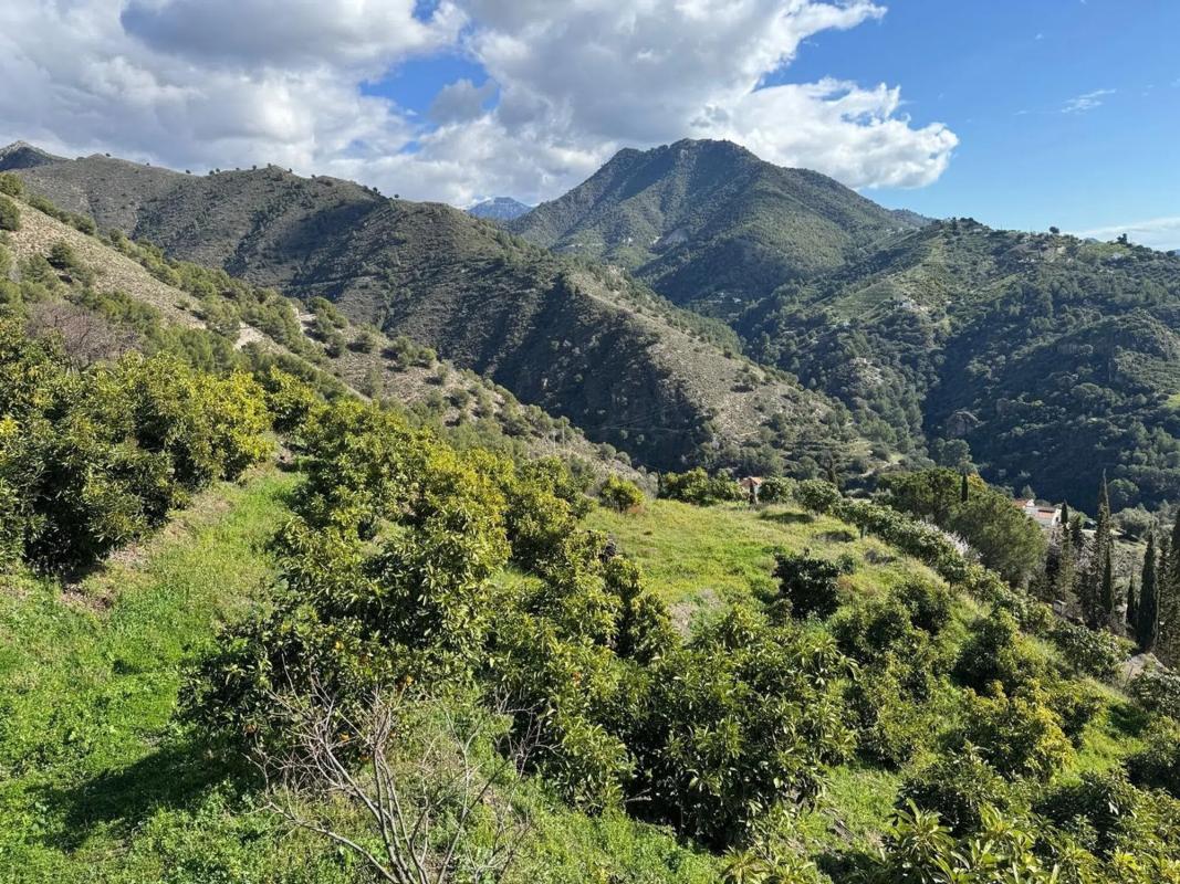 Terreno en venta en Competa, Malaga photo 5