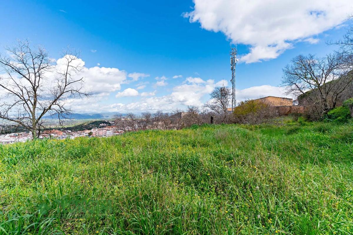 Land for sale in Coin, Malaga photo 3