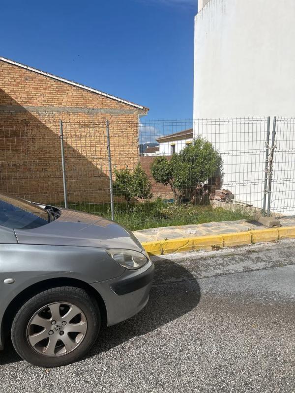Terreno en venta en Montecorto, Malaga photo 1