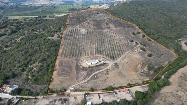 Terreno en Manilva photo 1