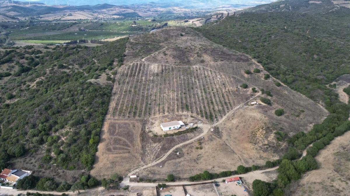 Terreno en venta en Manilva, Malaga photo 2