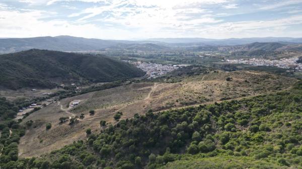 Terreno en Manilva photo 3