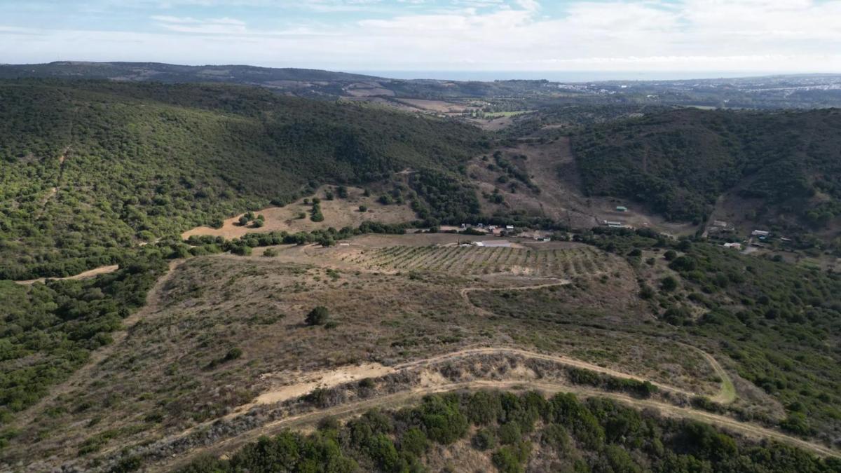Terreno en venta en Manilva, Malaga photo 4