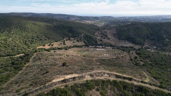 Terreno en Manilva photo 4
