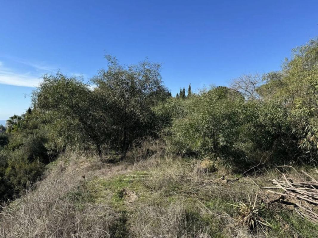 Działka na sprzedaż w Marbella, Malaga photo 3