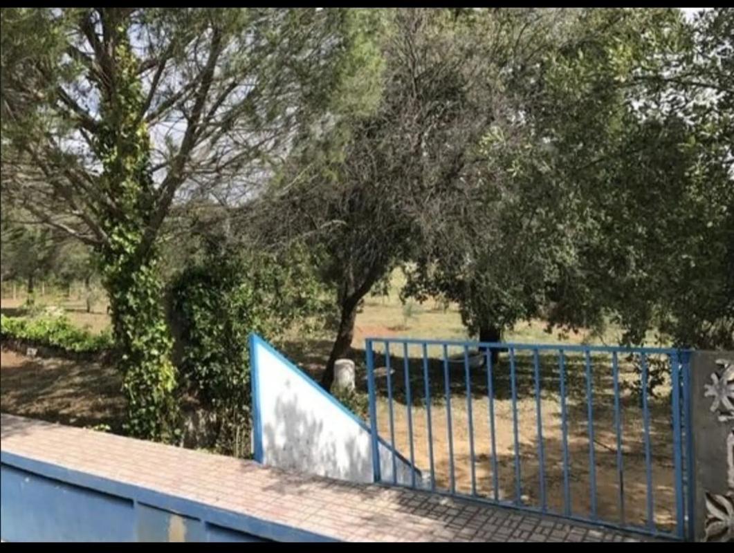 Terreno en venta en Ronda, Malaga photo 2