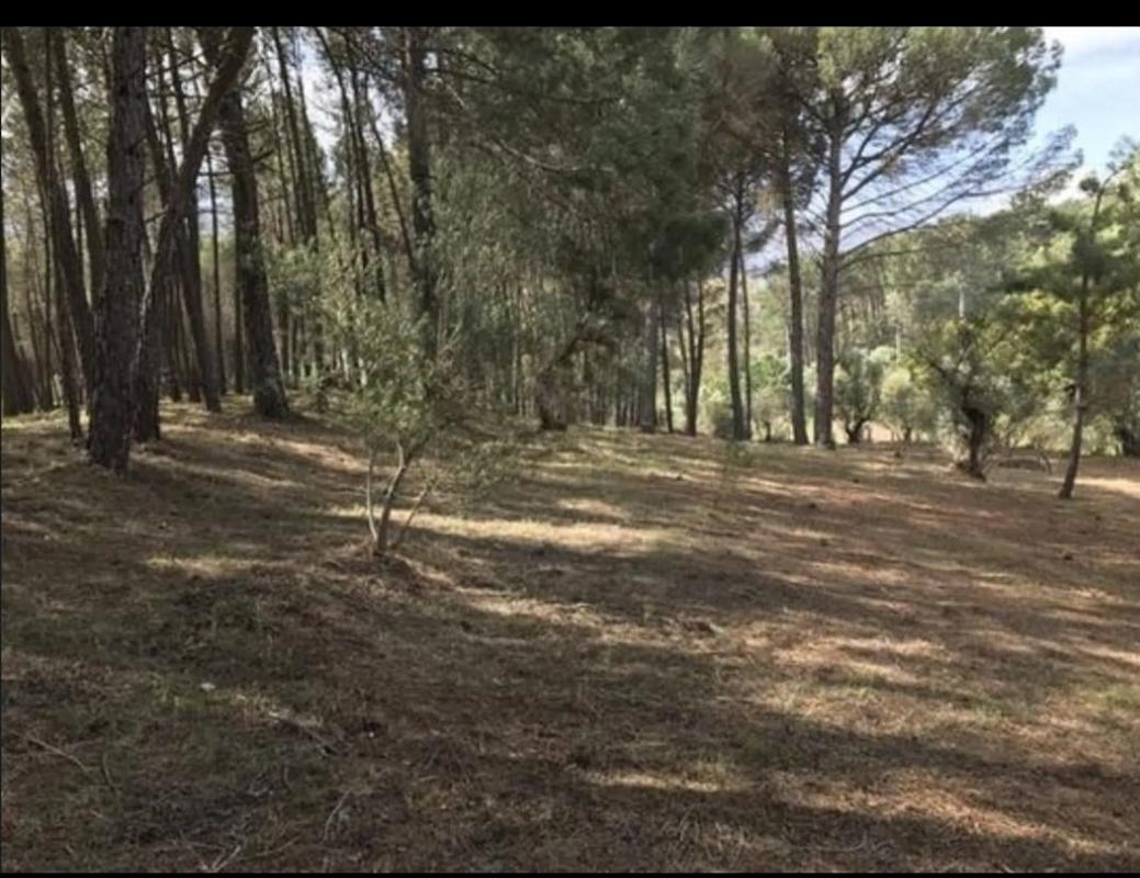 Terreno en venta en Ronda, Malaga photo 3