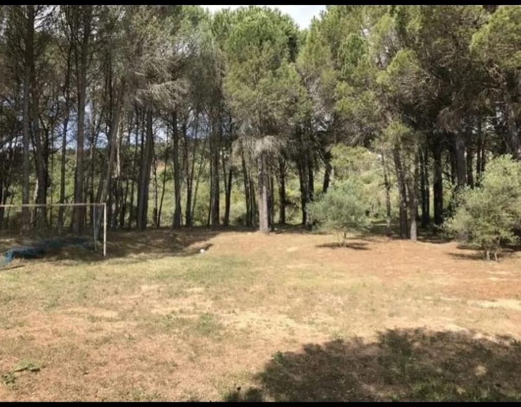 Terreno en venta en Ronda, Malaga photo 4