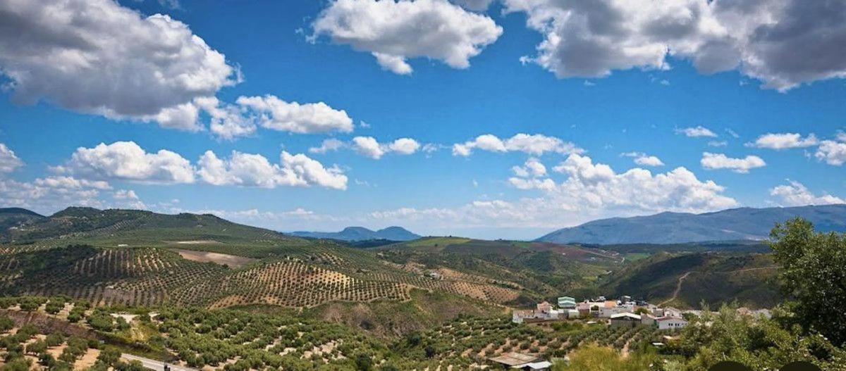 Land for sale in Villanueva de Algaidas, Malaga photo 3