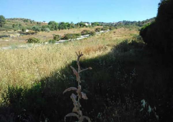 Terreno en Parcela Supr-24 , photo 4