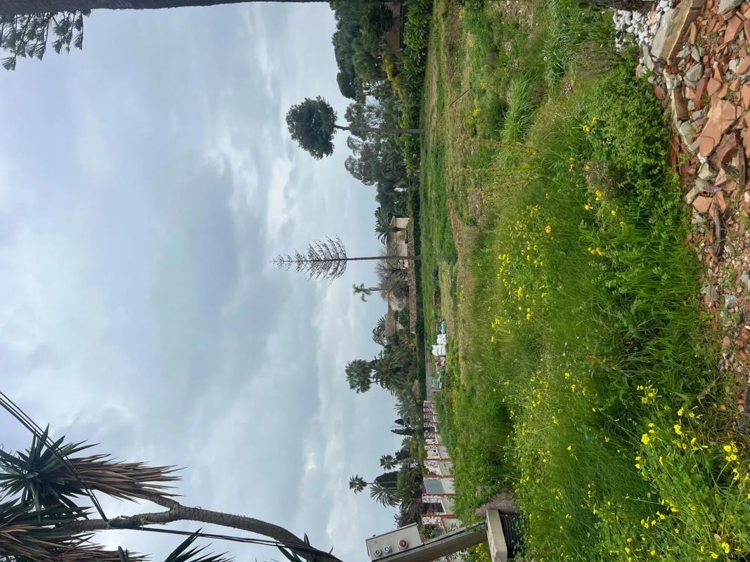 Terreno en venta en Marbella, Malaga photo 5