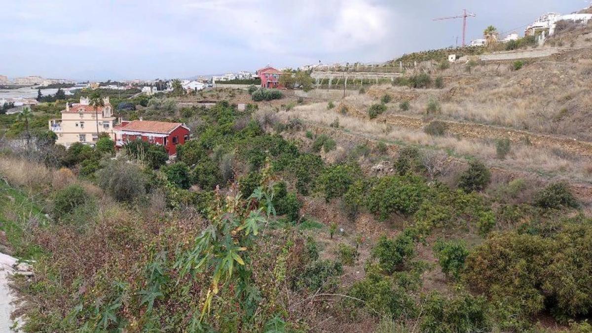Terreno en venta en Torrox, Malaga photo 4