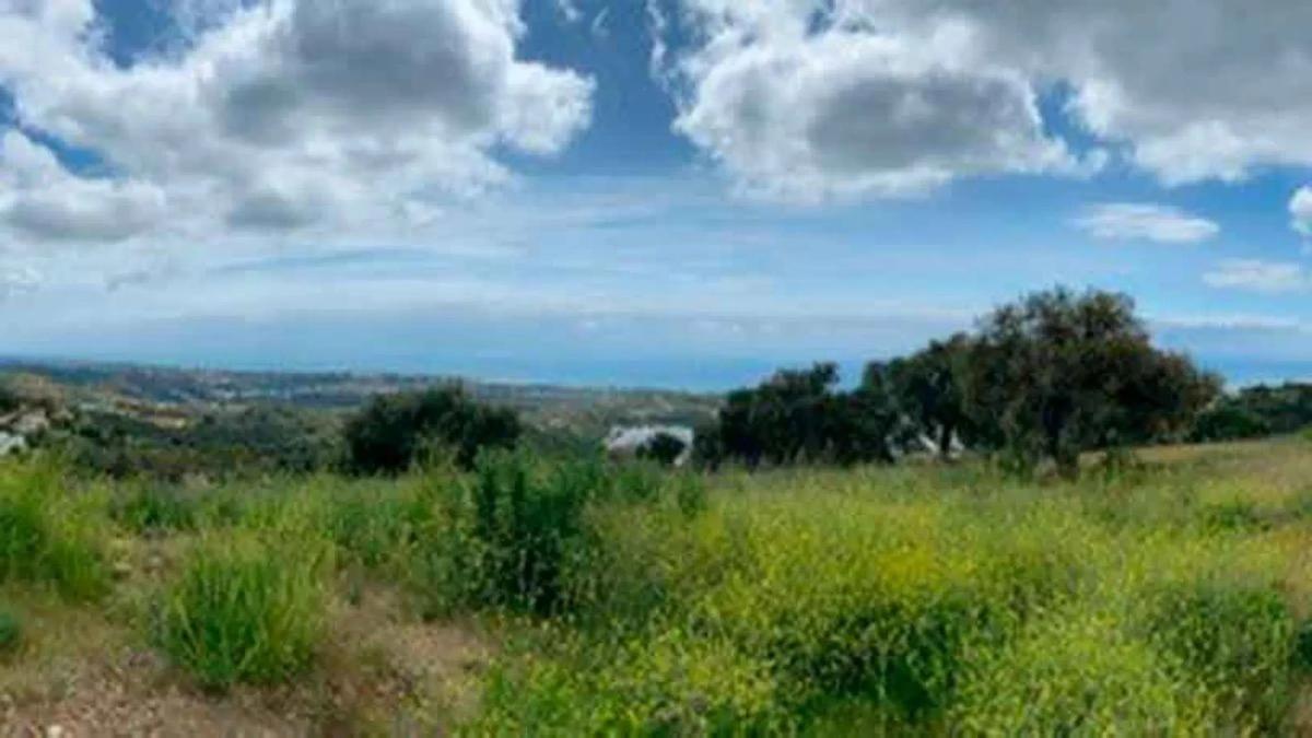 Terreno en venta en Marbella, Malaga photo 2