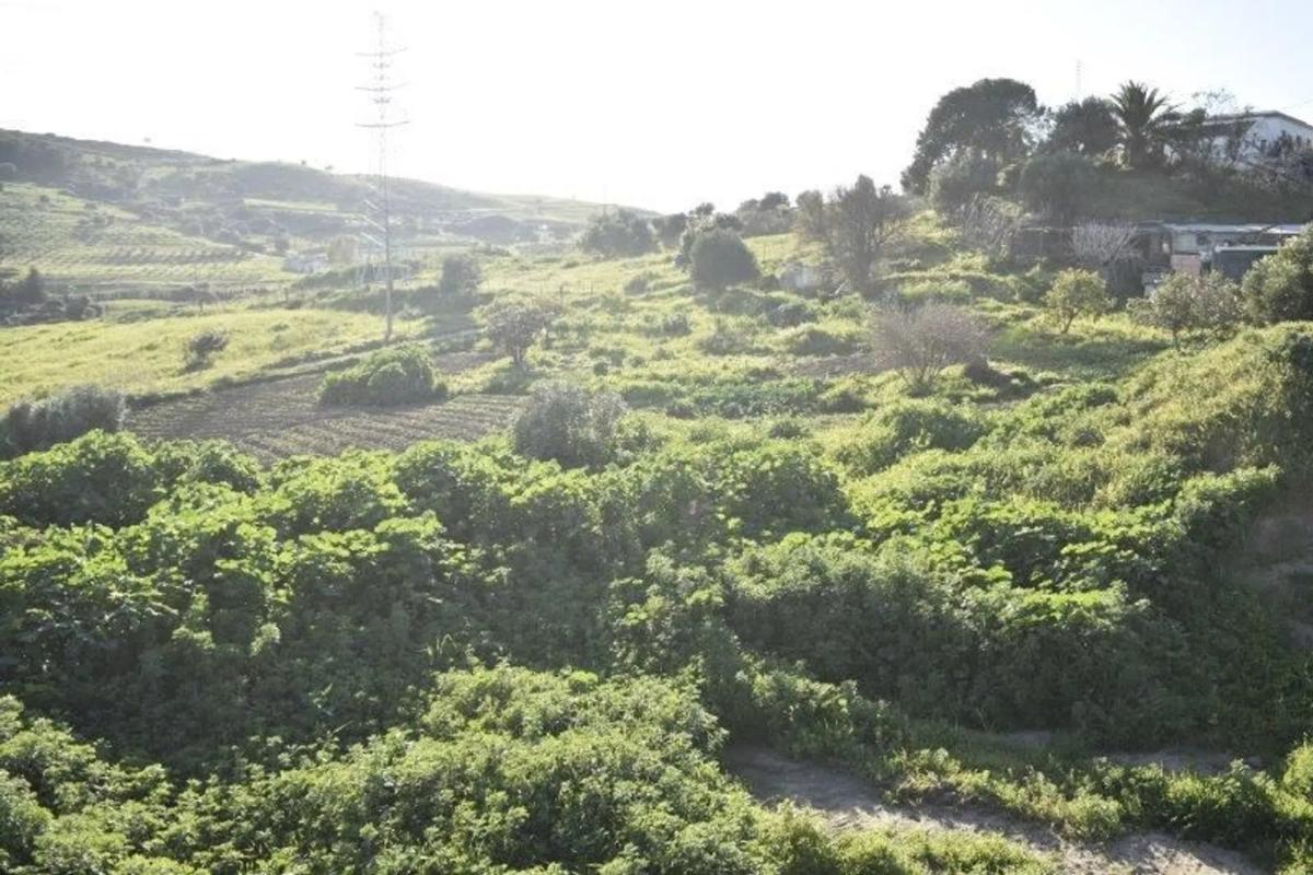 Terreno en venta en Casares, Malaga plan 1