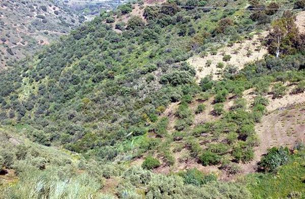 Terreno en Paraje Romo s/n photo 2