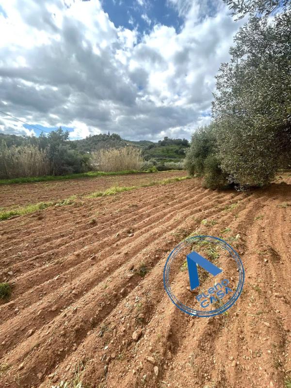 Terreno en venta en Coin, Malaga photo 3