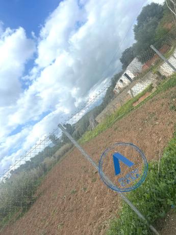 Terreno en Coin photo 4