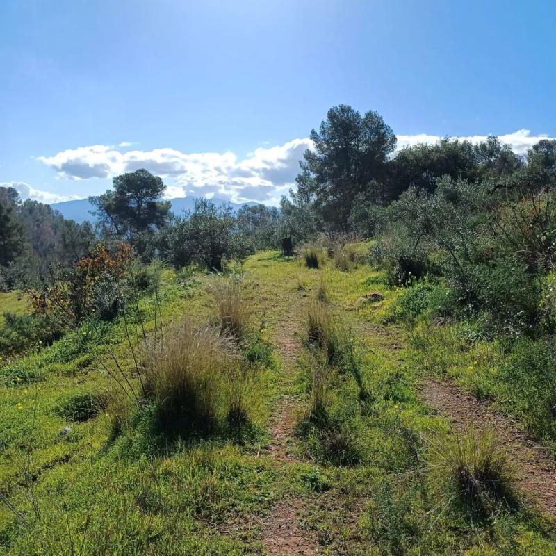 Terreno en venta en Tolox, Malaga photo 1
