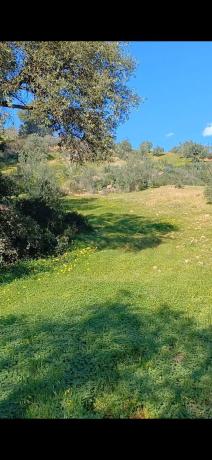 Terreno en Tolox photo 4