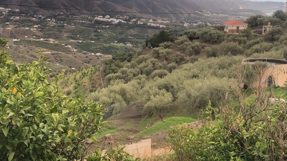 Działka na sprzedaż w Torrox, Malaga photo 3