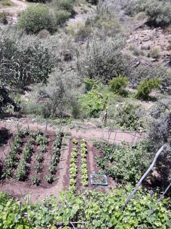 Terreno en Barrio Pinares de San Antón thumbnail 2