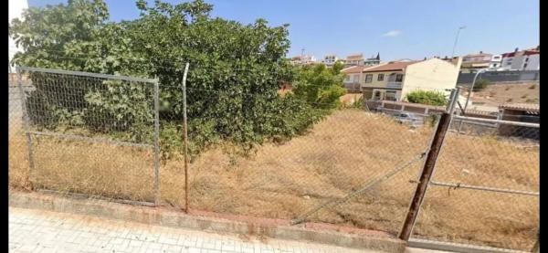 Terreno en Barrio San Alberto - La Alcubilla - Florisol thumbnail 3